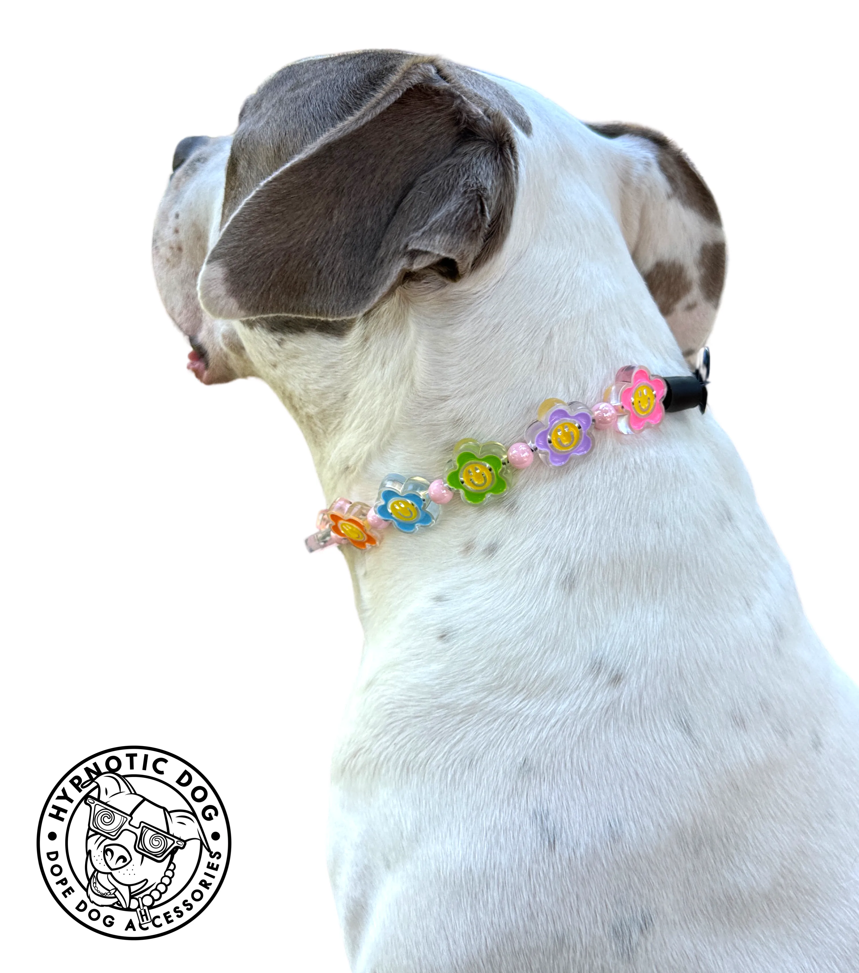 🌼 Flower Power 🌼 Bead Collar