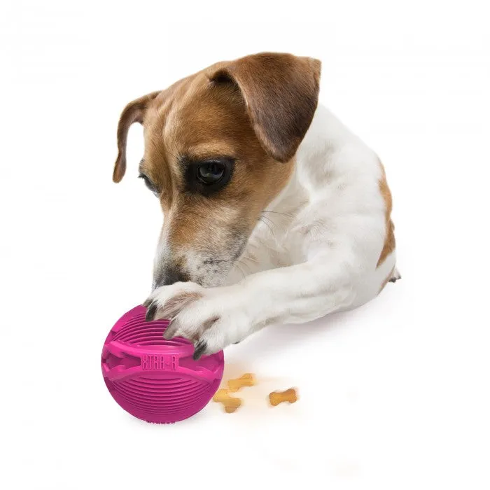 All For Paws Xtra-R Extra Durable Ball Dog Toy