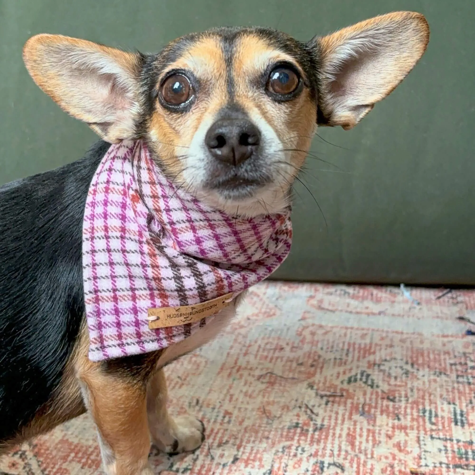 Autumn Rose Plaid Bandana