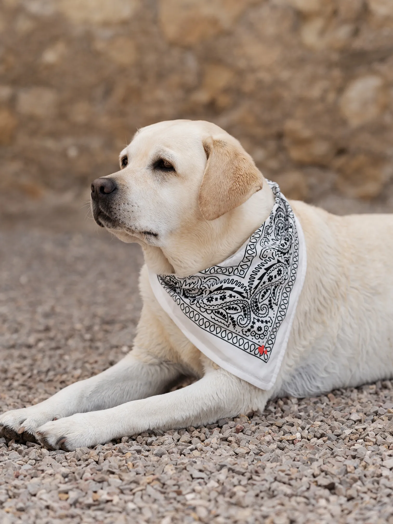 Bandana