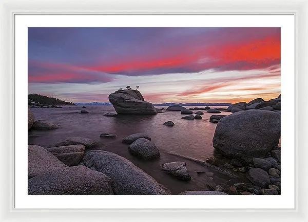 Bonsai Rock On Fire - Framed Print