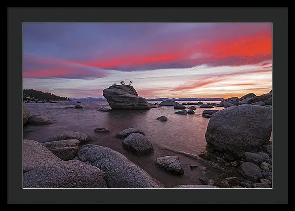 Bonsai Rock On Fire - Framed Print