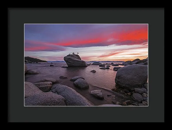 Bonsai Rock On Fire - Framed Print