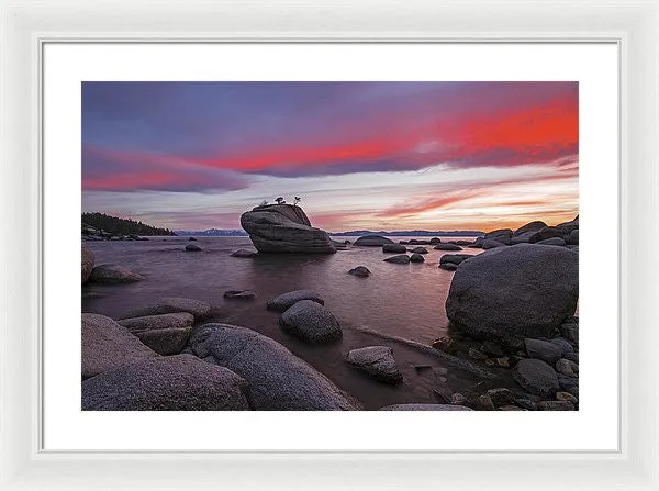 Bonsai Rock On Fire - Framed Print