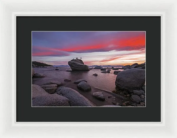 Bonsai Rock On Fire - Framed Print