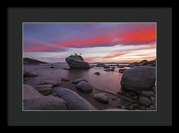 Bonsai Rock On Fire - Framed Print