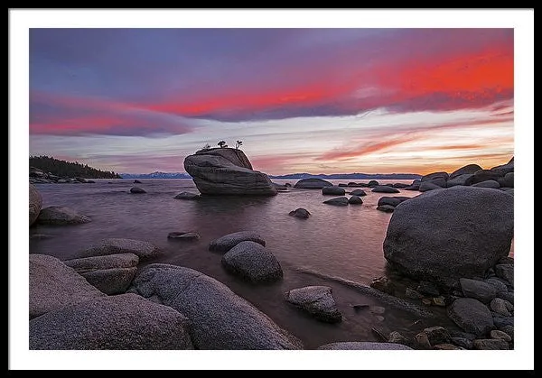 Bonsai Rock On Fire - Framed Print