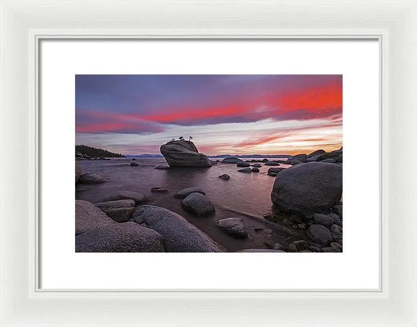 Bonsai Rock On Fire - Framed Print