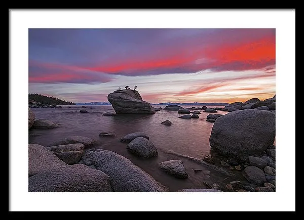 Bonsai Rock On Fire - Framed Print