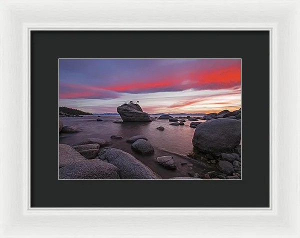 Bonsai Rock On Fire - Framed Print