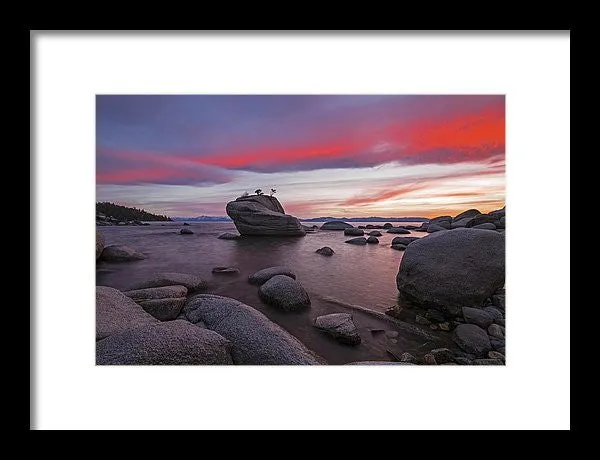 Bonsai Rock On Fire - Framed Print