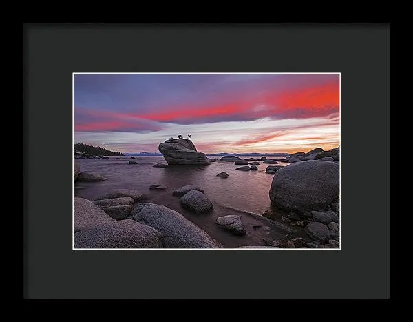 Bonsai Rock On Fire - Framed Print