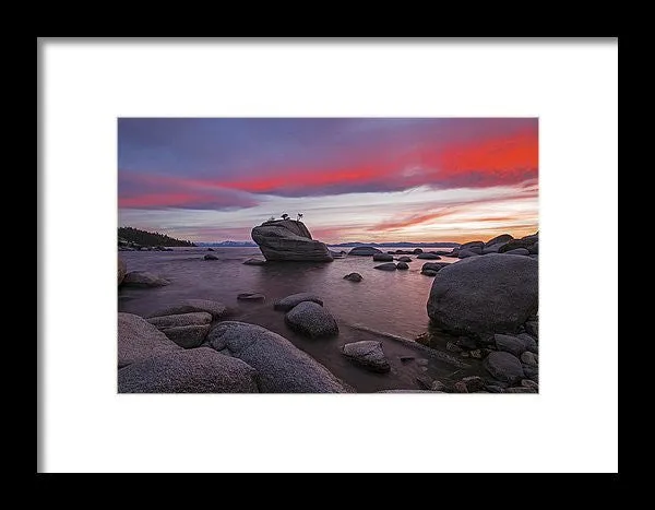 Bonsai Rock On Fire - Framed Print