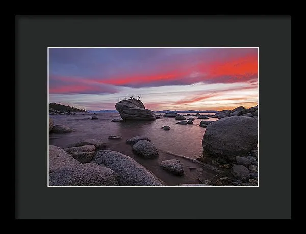 Bonsai Rock On Fire - Framed Print