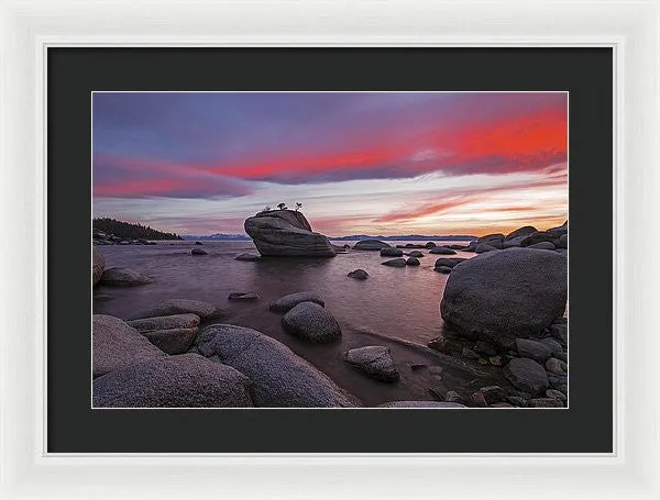 Bonsai Rock On Fire - Framed Print