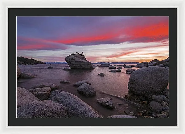 Bonsai Rock On Fire - Framed Print