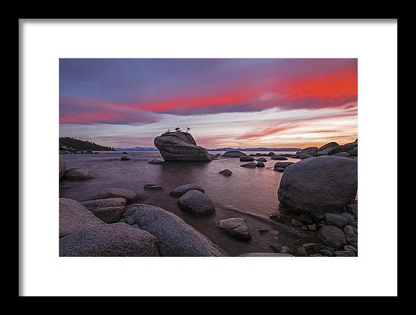 Bonsai Rock On Fire - Framed Print