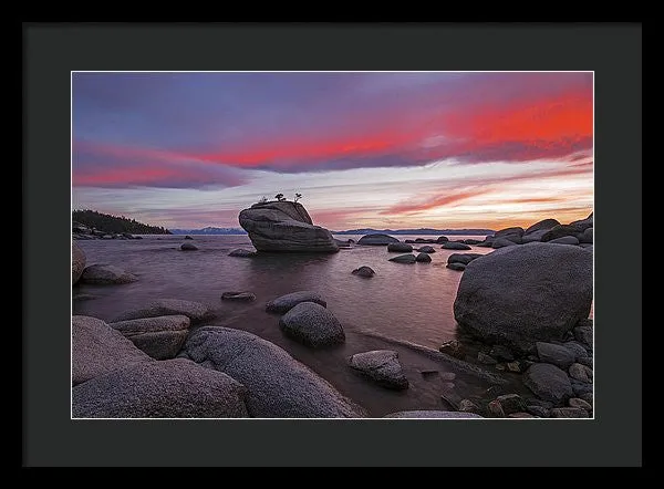 Bonsai Rock On Fire - Framed Print