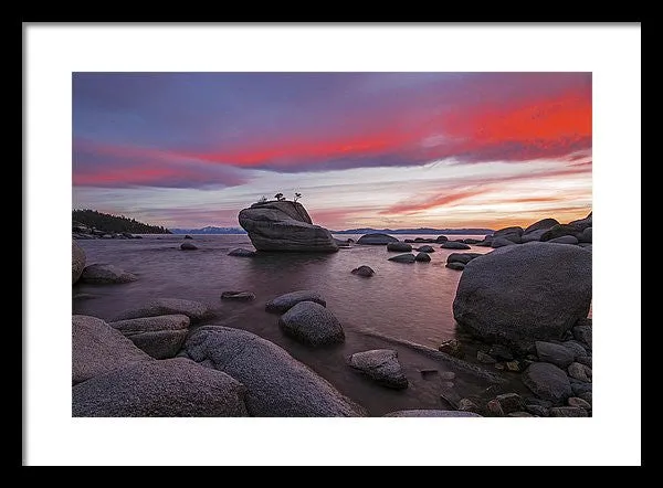 Bonsai Rock On Fire - Framed Print