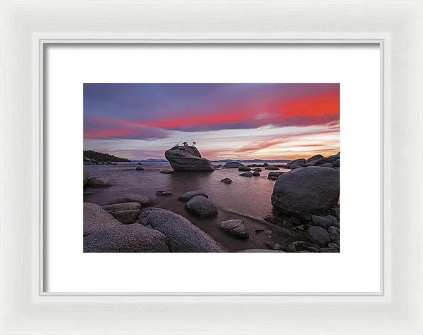 Bonsai Rock On Fire - Framed Print