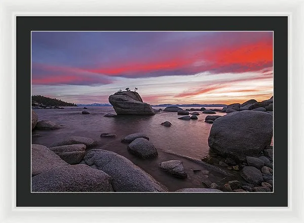 Bonsai Rock On Fire - Framed Print