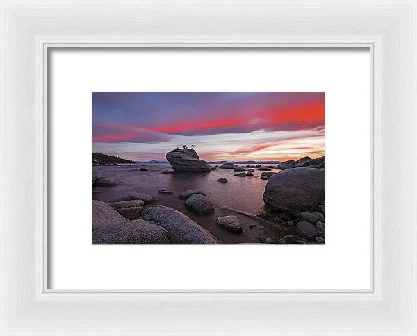 Bonsai Rock On Fire - Framed Print