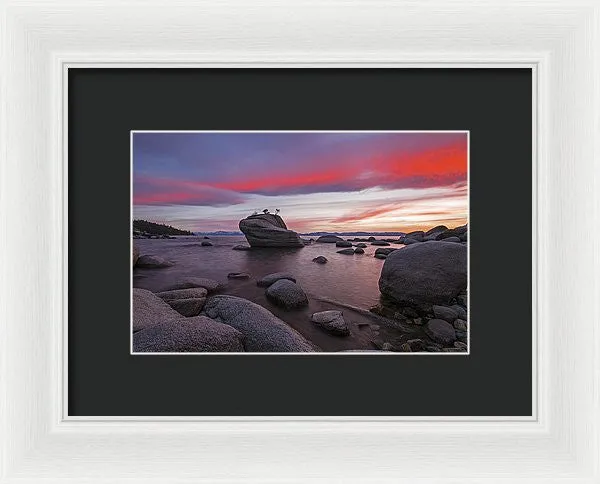 Bonsai Rock On Fire - Framed Print