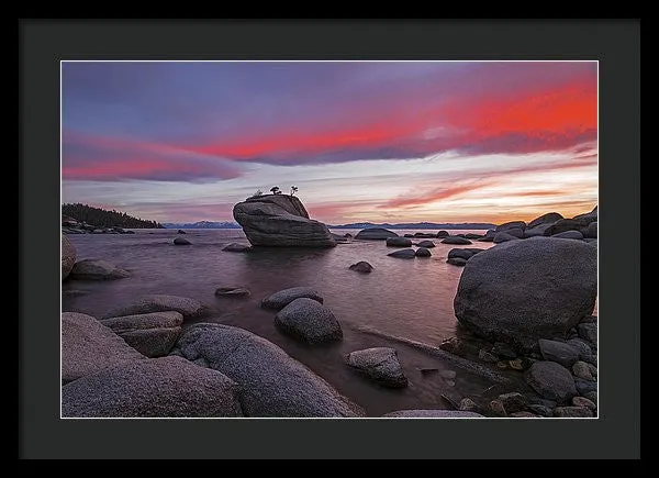 Bonsai Rock On Fire - Framed Print