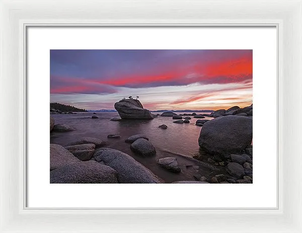 Bonsai Rock On Fire - Framed Print