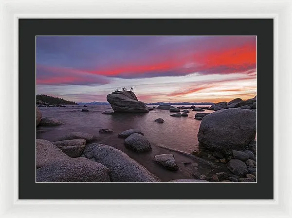 Bonsai Rock On Fire - Framed Print