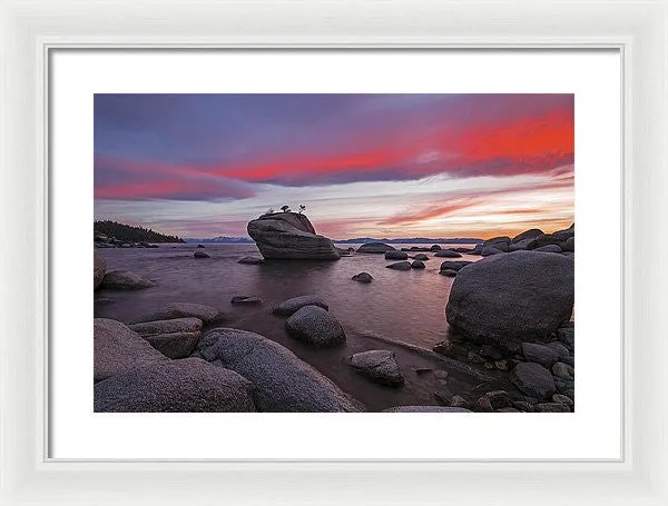 Bonsai Rock On Fire - Framed Print