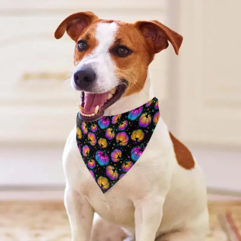 Bright Pumpkins Dog Bandana for Autumn Adventures