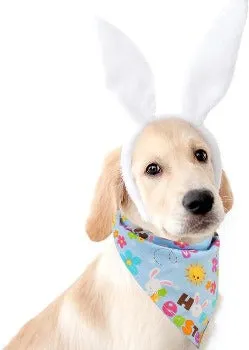 Colorful Easter Bandana