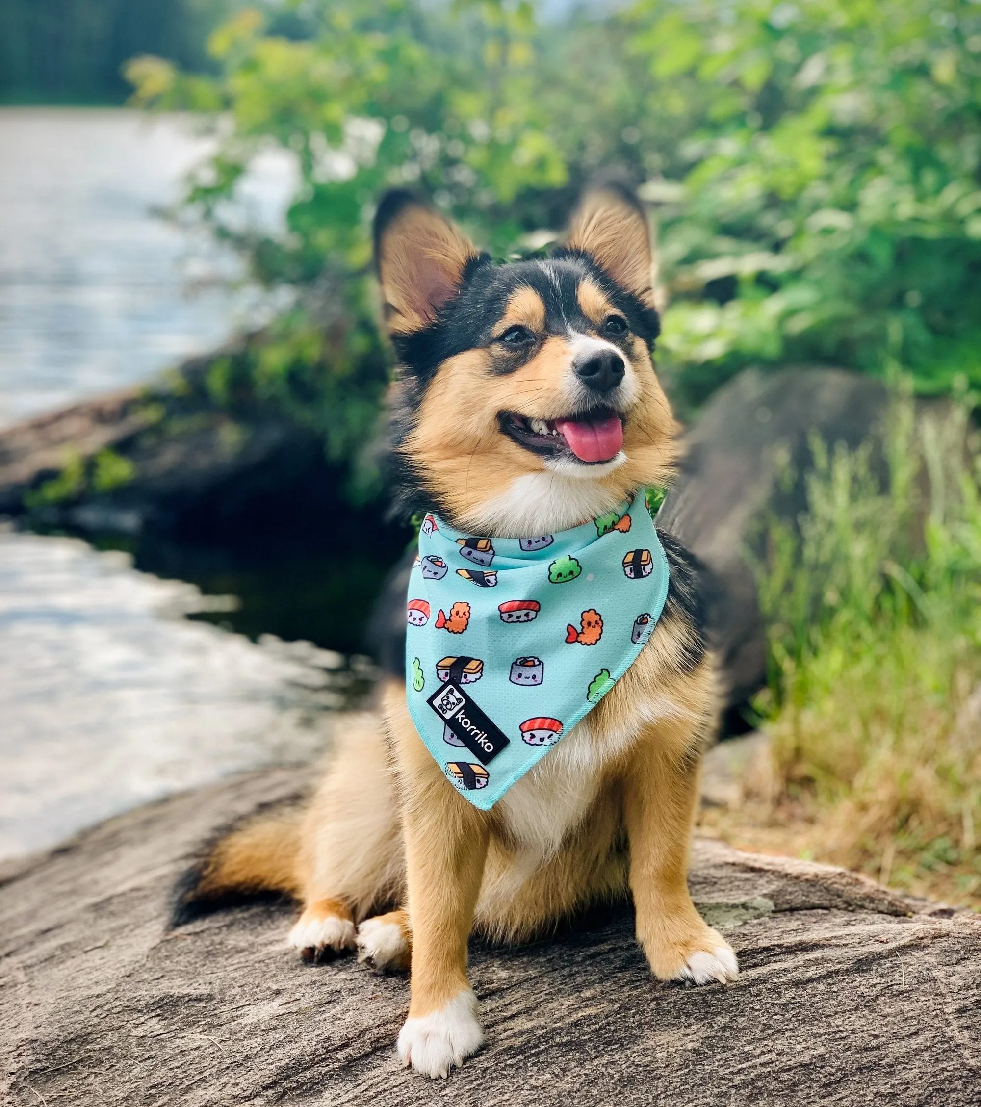 cooling bandana - sushi