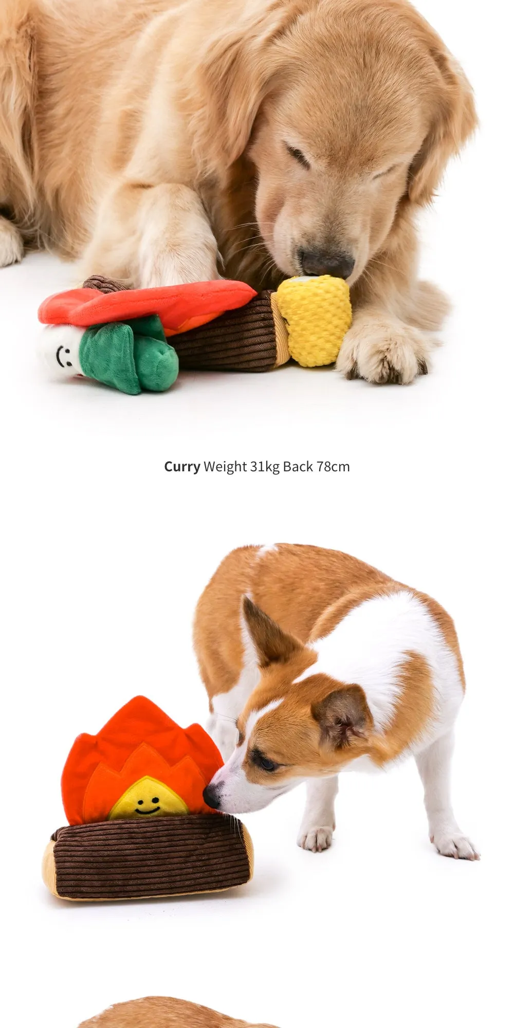 Cozy Campfire Enrichment Toy