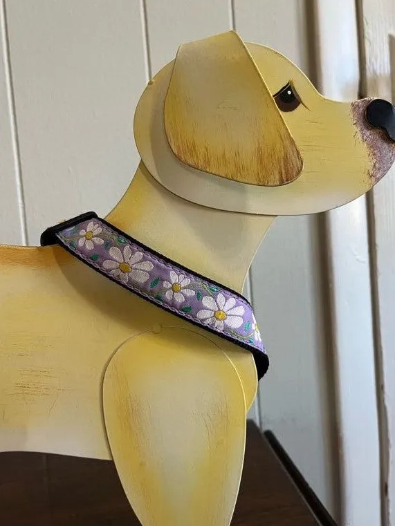 Doggie Collars