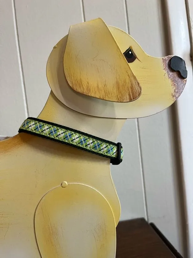 Doggie Collars