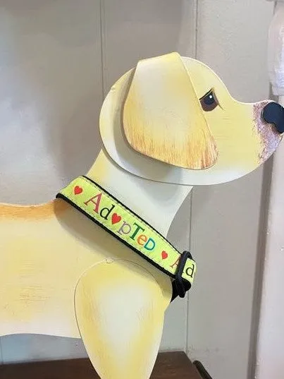 Doggie Collars