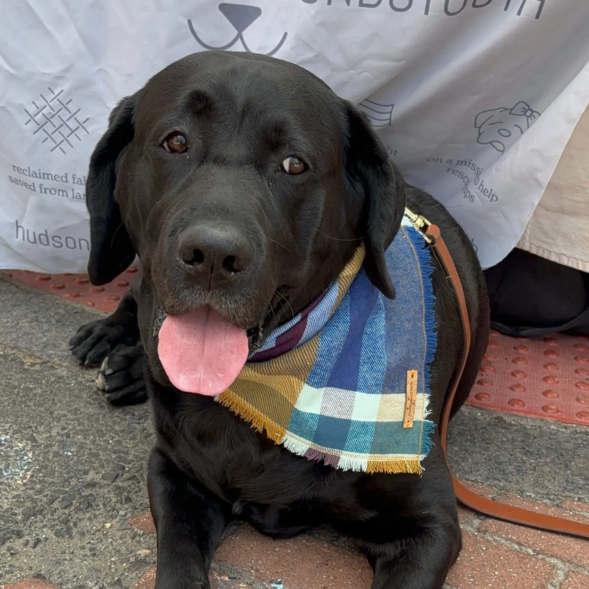 Dusk Sky Plaid Bandana