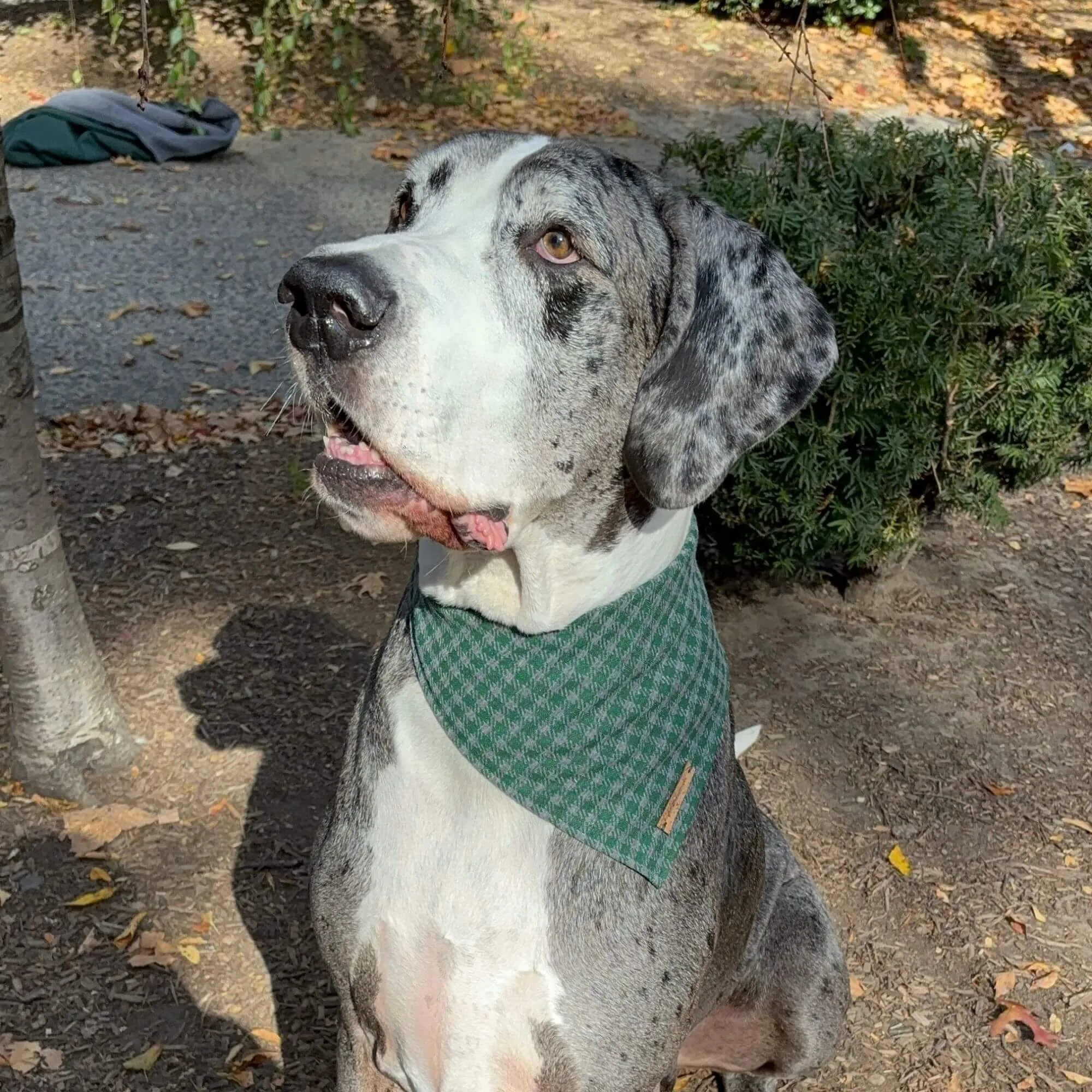 Evergreen Knit Plaid Bandana