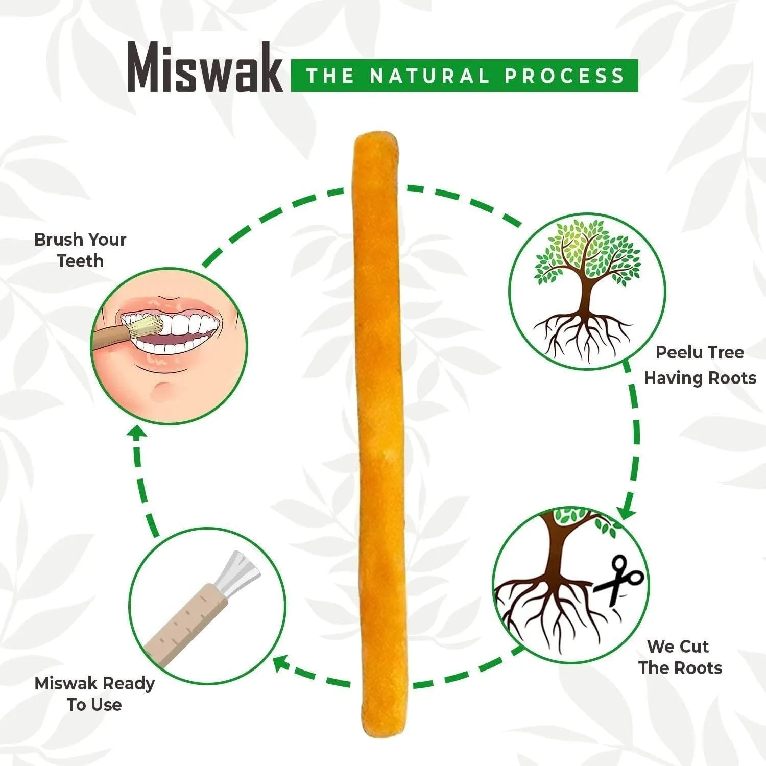 Golden Miswak Sticks for Teeth, MAY Sewak Toothbrush, Natural Toothbrush for Whiter Teeth, Lightweight Wood Brush for Healthy Gums, Muslim Tooth Stick, Condensed Miswak Extract, Yellow