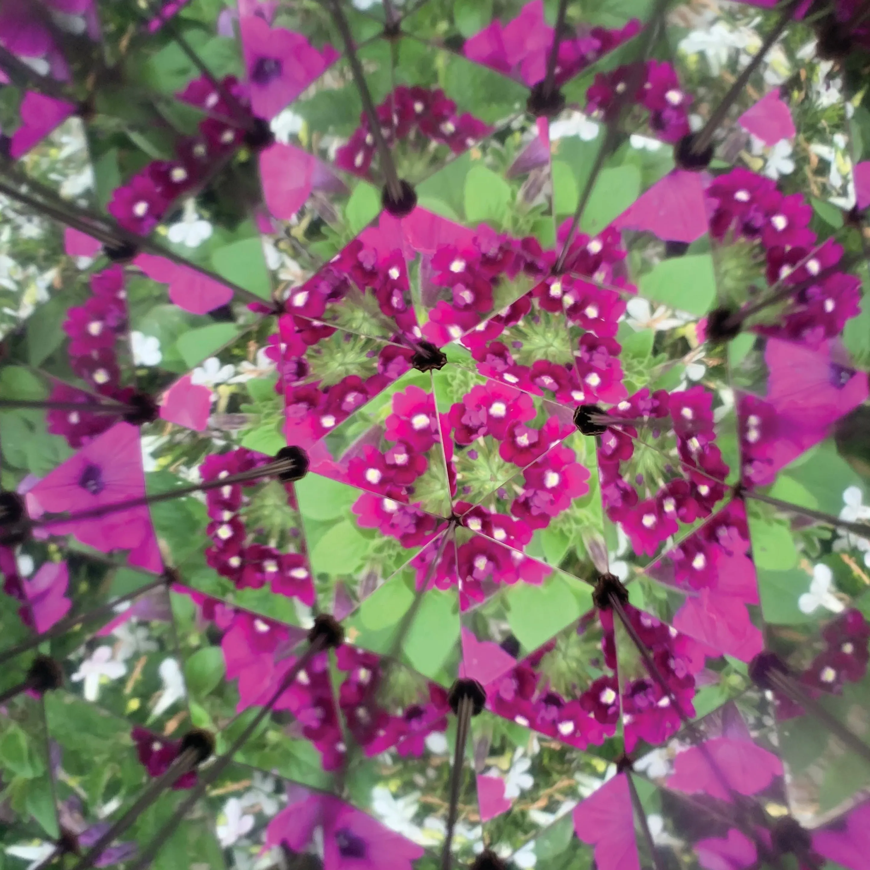 Interactive Kaleidoscope