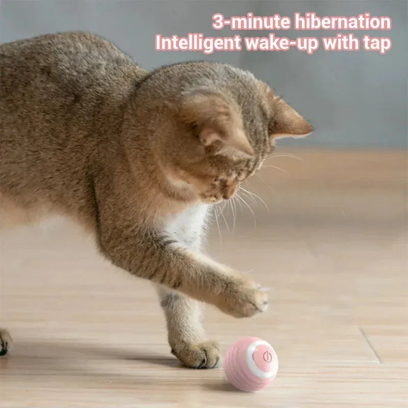 Interactive Toy Cat Ball