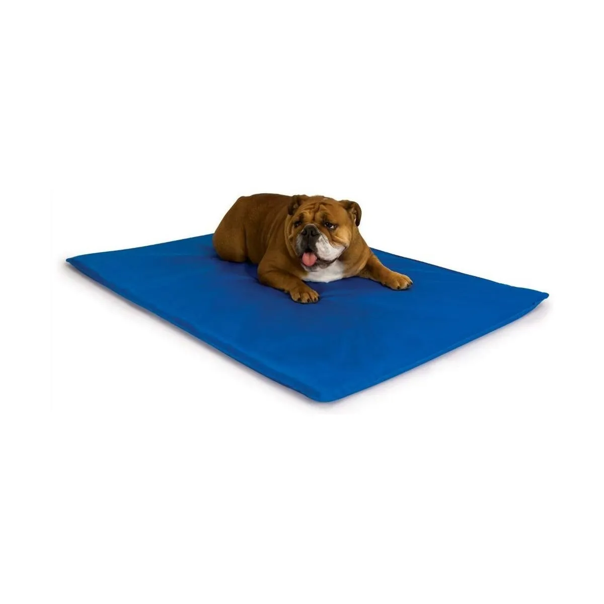 K&H Manufacturing Cool Bed III Cooling Dog Bed Blue Medium - 22" x 32"