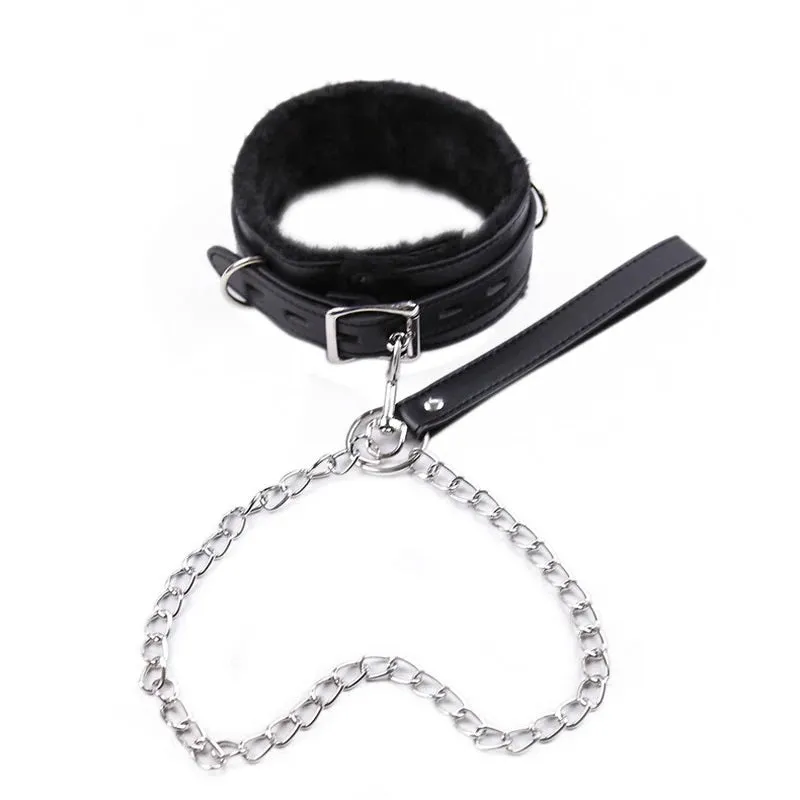 Lockable Collar & Leash