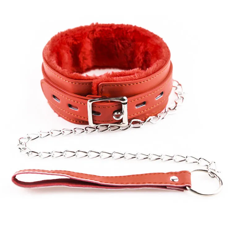 Lockable Collar & Leash