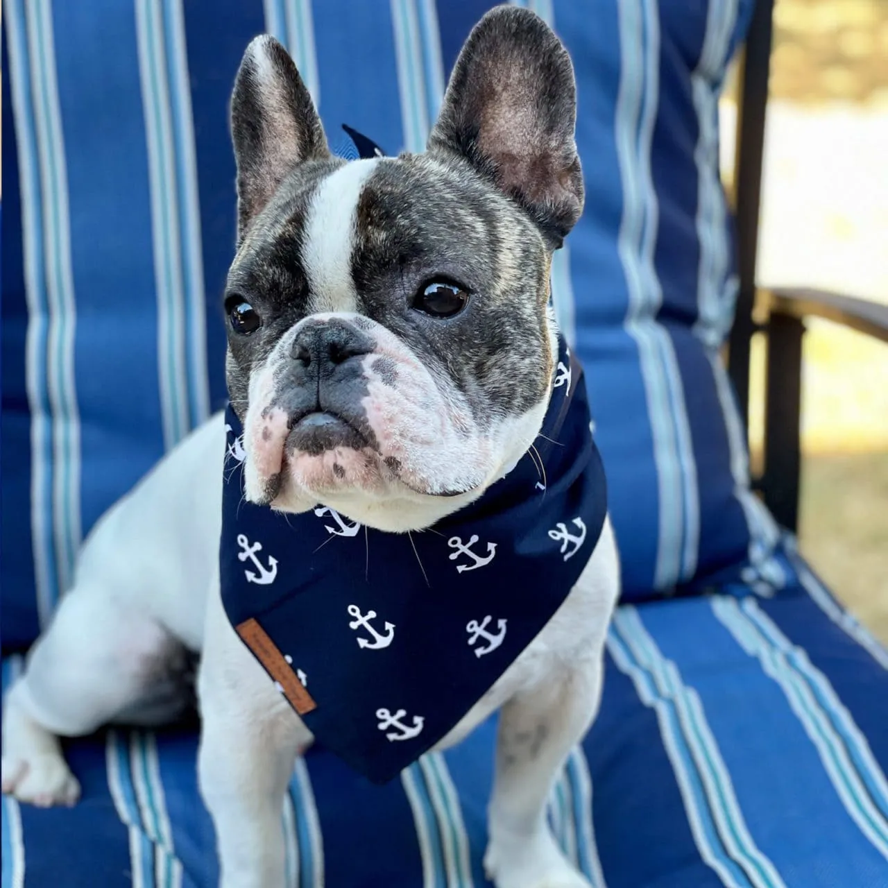 Lost at Sea Dog Bandana