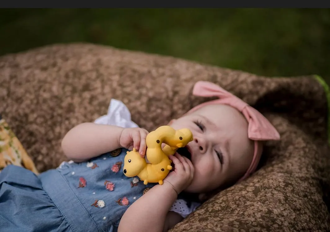 My First Tikiri Teether and Bath Toy - Caterpillar Gift Boxed