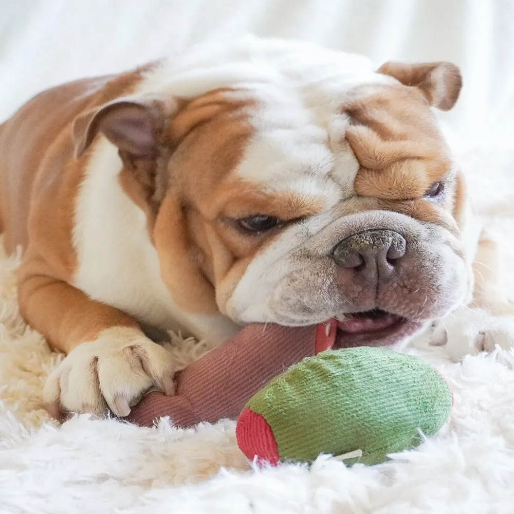 Olive with Salami Dog Toy