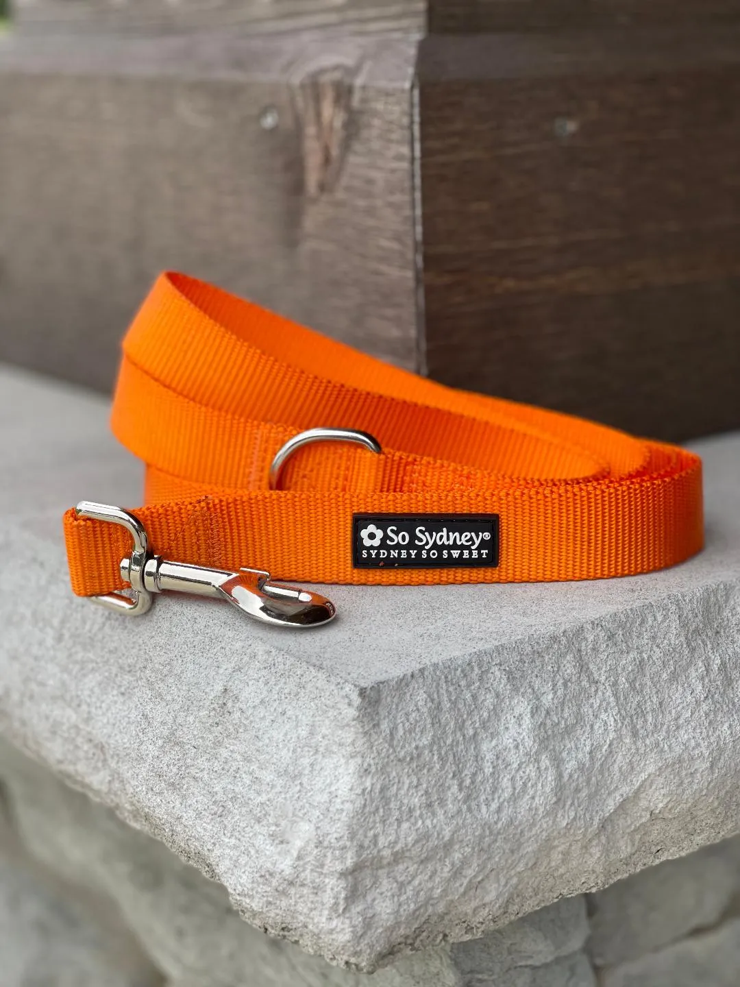 Orange Nylon Dog Leash for Small, Medium, or Large Dogs